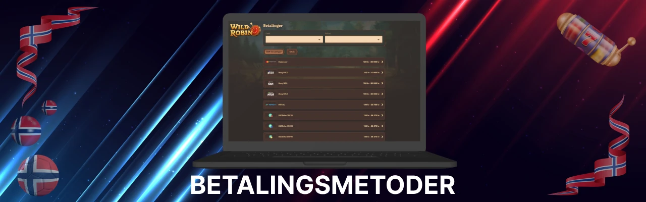 Betalingsmetoder hos wildrobin